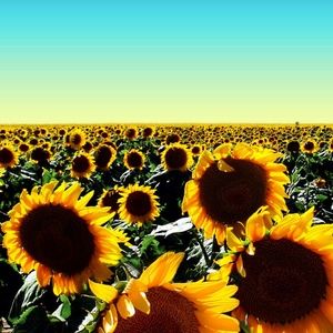 Meet your Posher, Gail